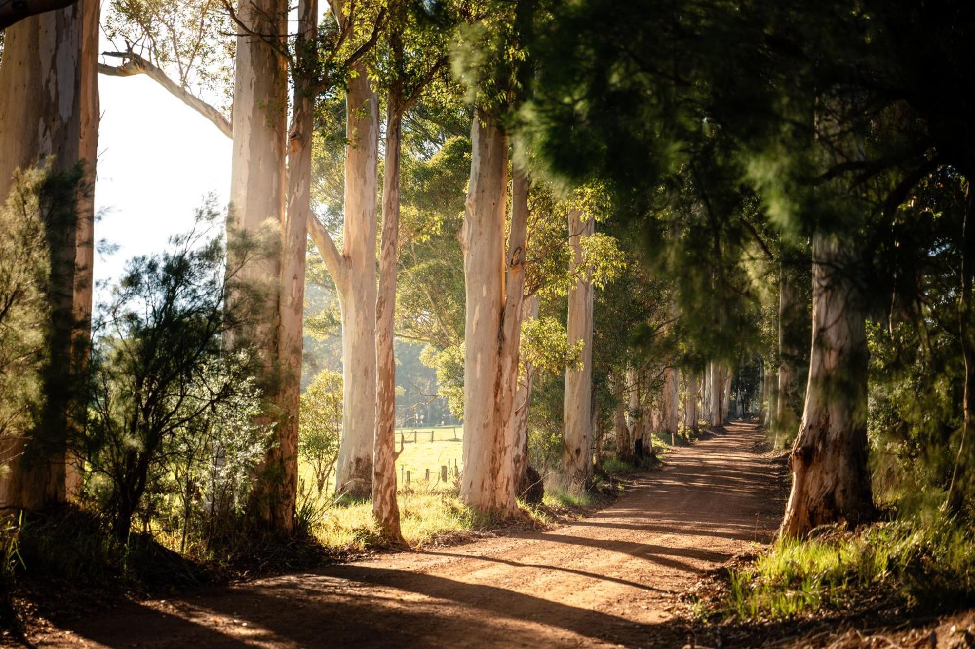 Karrak Reach Forest Retreat Denmark Exteriér fotografie